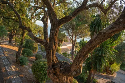 Villa Kaniaro gallery image