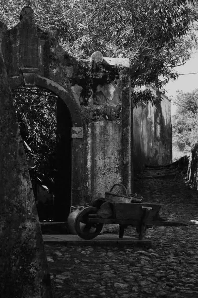 Villa Domenicale gallery image